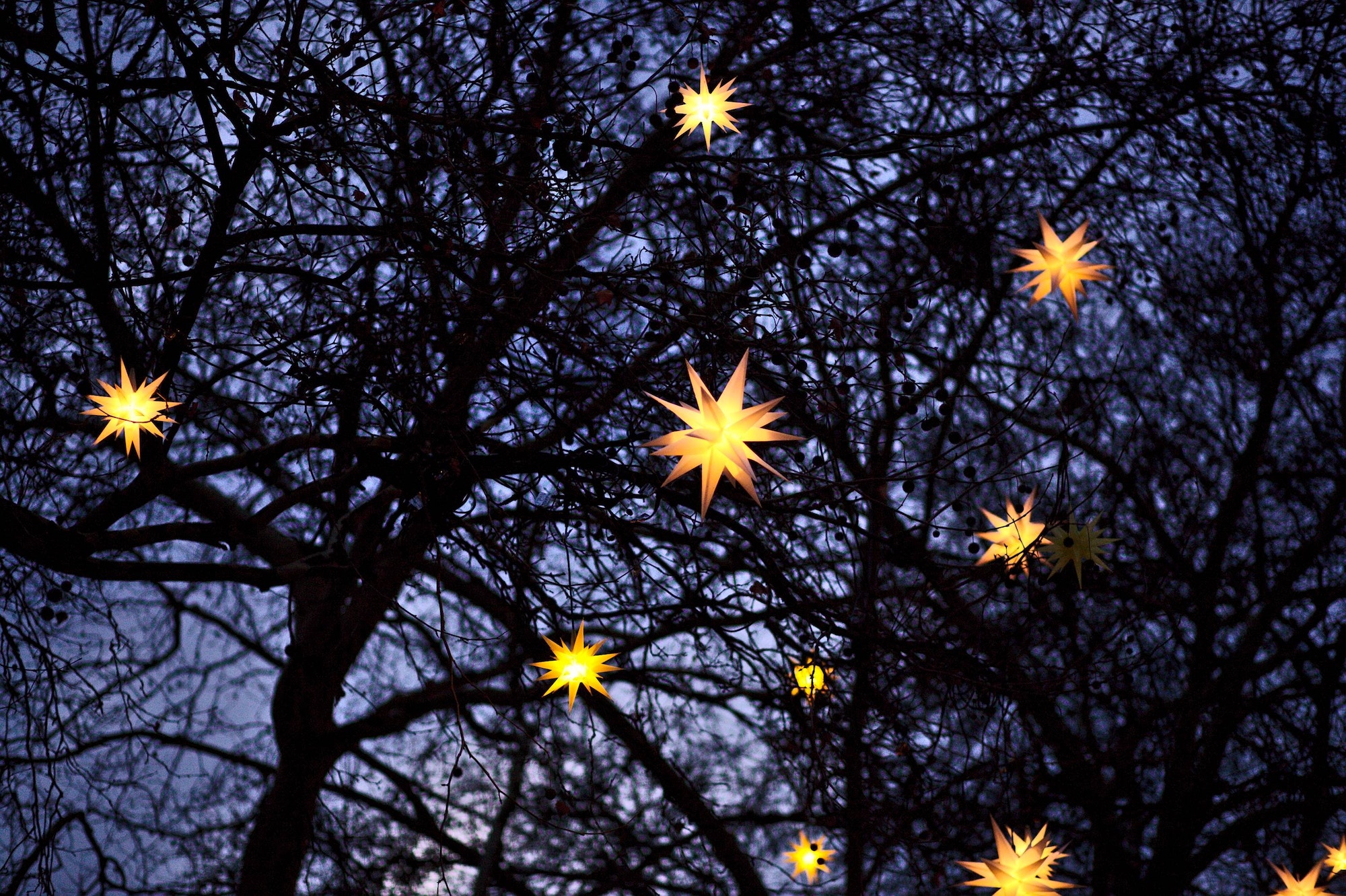 Décoration de Noël made in Alsace : entre tradition et chic - Greenstone